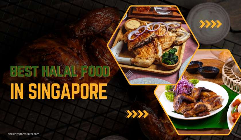 Best Halal Food in Singapore You Should Try